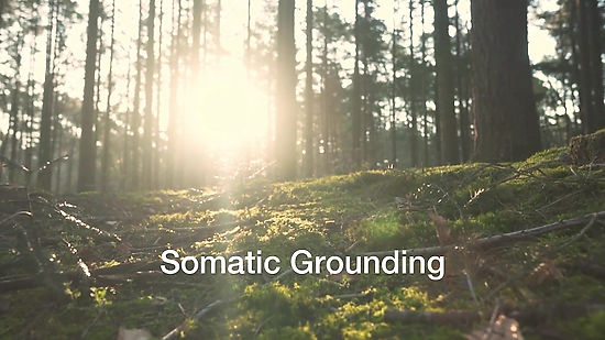 Somatic Grounding